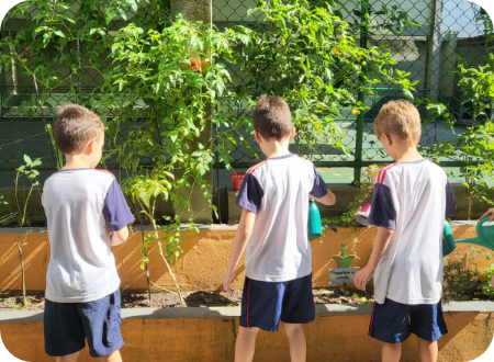 WhatsApp Image 2026-02-04 at 16.43.25